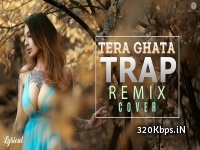 Tera Ghata - Gajendra Verma Dj Remix