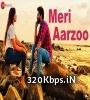 Meri Aarzoo - Digvijay Joshi, Rupali Gupta Poster