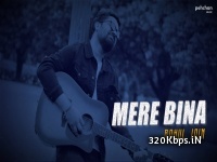 Mere Bina (Tujhko Jo Paaya) -  Unplugged Cover Rahul Jain