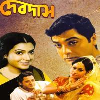 Devdas (2002) Bengali Movie