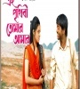 Ei Prithibi Tomar Amar (2009) Bengali Movie  Poster