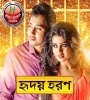 Hridoy Haran (2015) Bengali Movie  Poster