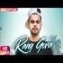 RANG GORA - AKHIL (Remix) Dj Hans Poster