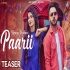 PAARII - Happy Pathan 64kbps Poster