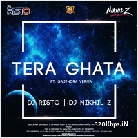 Tera Ghata (Remix) - DJ RISTO X DJ NIKHIL Z