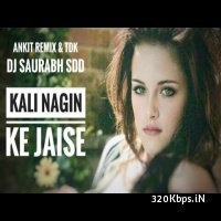Kali Nagin Ke Jaise - DJ Saurabh SDD, Ankit Mumbai n DJ TDK