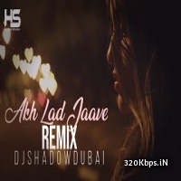 Akh Lad Jaave (Loveratri) DJ Shadow Dubai Remix