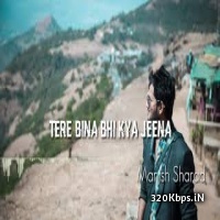 Tere Bina Bhi Kya Jeena (Cover) Manish Sharad