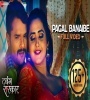 Pagal Banaibe Ka Re Patarki Bhojpuri Dj Remix Song Mix By Dj Chandan Shakya