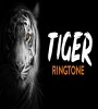 Tik Tok Tiger Song Ringtone Download Poster