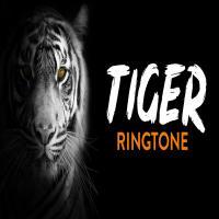 Tik Tok Tiger Song Ringtone Download