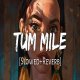 Tum Mile [Slowed Reverb]