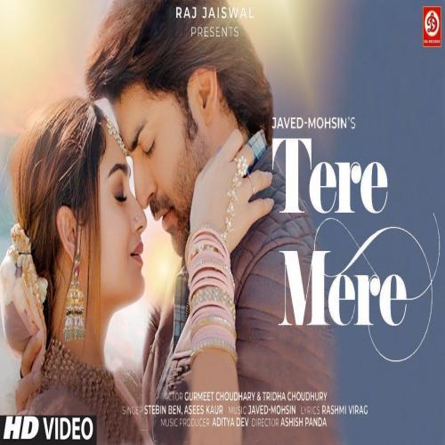 Tere Mere